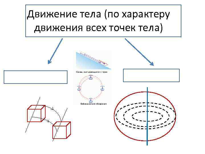 Движение тела (по характеру движения всех точек тела) 