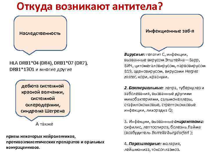 Откуда возникают антитела? Наследственность HLA DRB 1*04 (DR 4), DRB 1*07 (DR 7), DRB