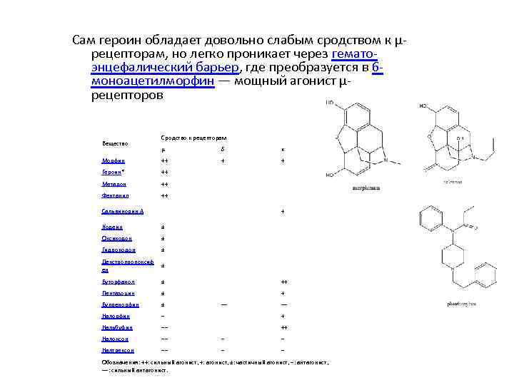Сам героин обладает довольно слабым сродством к μрецепторам, но легко проникает через гематоэнцефалический барьер,