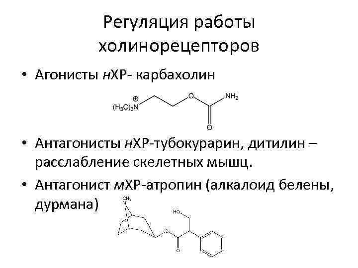 Регуляция работы холинорецепторов • Агонисты н. ХР- карбахолин • Антагонисты н. ХР-тубокурарин, дитилин –