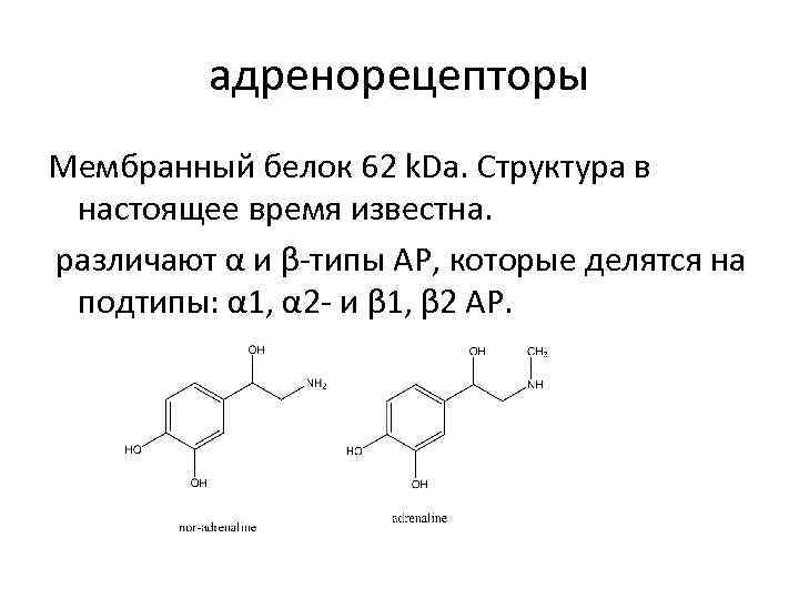 адренорецепторы Мембранный белок 62 k. Da. Структура в настоящее время известна. различают α и