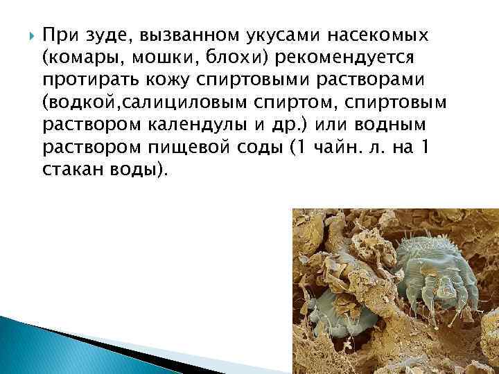  При зуде, вызванном укусами насекомых (комары, мошки, блохи) рекомендуется протирать кожу спиртовыми растворами