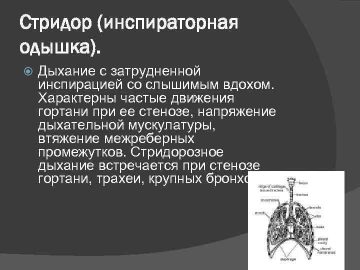 Стридор (инспираторная одышка). Дыхание с затрудненной инспирацией со слышимым вдохом. Характерны частые движения гортани