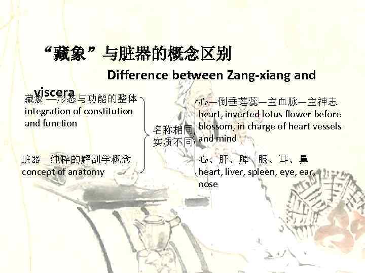 “藏象”与脏器的概念区别 viscera Difference between Zang-xiang and 藏象 ––形态与功能的整体 integration of constitution and function 脏器––纯粹的解剖学概念