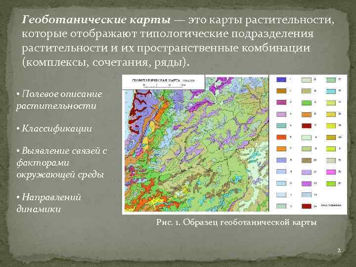 Геоботанические карты — это карты растительности, которые отображают типологические подразделения растительности и их пространственные