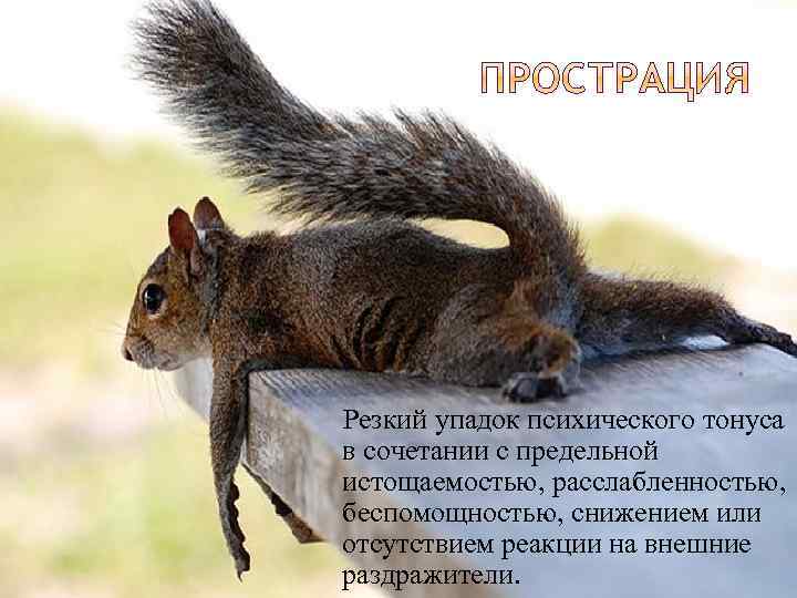 Резкий упадок психического тонуса в сочетании с предельной истощаемостью, расслабленностью, беспомощностью, снижением или отсутствием