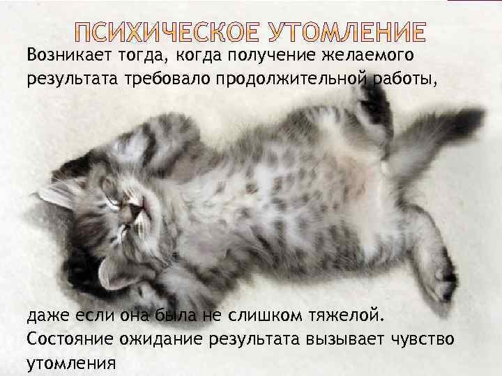 Возникает тогда, когда получение желаемого результата требовало продолжительной работы, даже если она была не