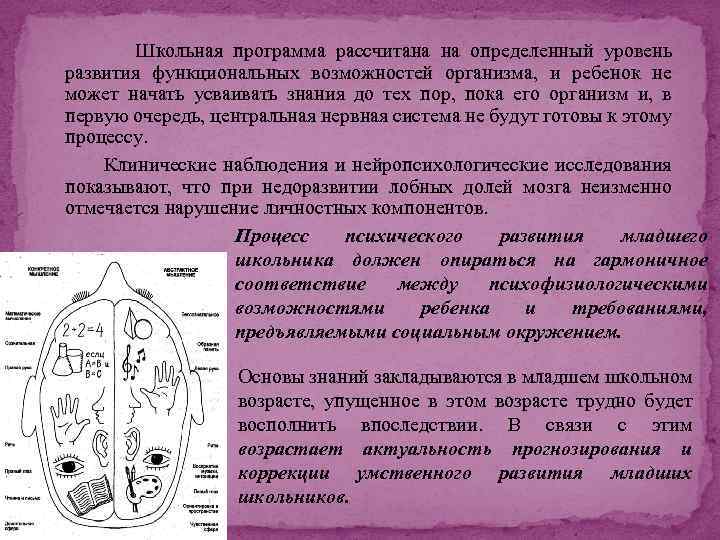 Школьная программа рассчитана на определенный уровень развития функциональных возможностей организма, и ребенок не может