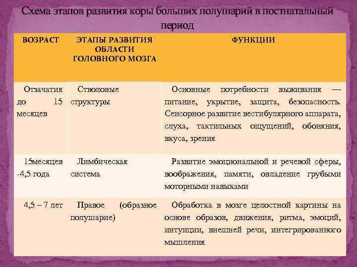 Схема этапов развития коры больших полушарий в постнатальный период ВОЗРАСТ ЭТАПЫ РАЗВИТИЯ ОБЛАСТИ ГОЛОВНОГО