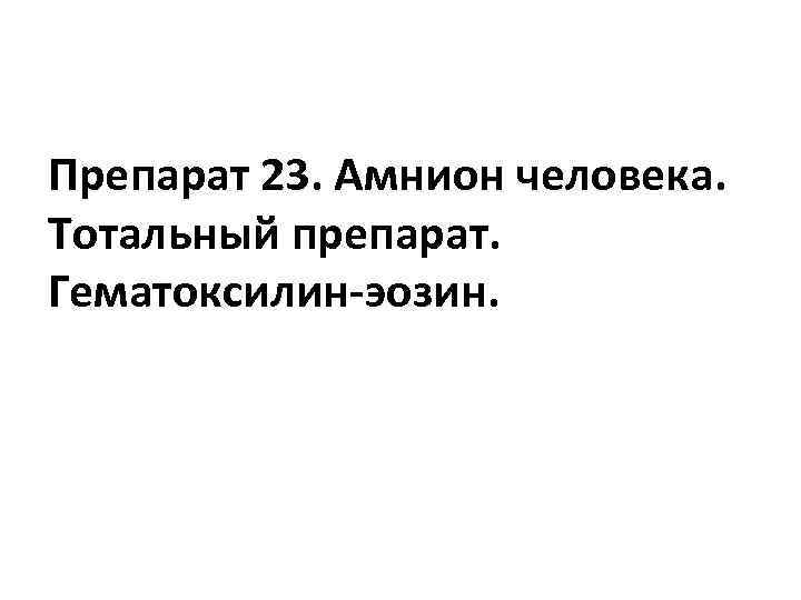 Препарат 23. Амнион человека. Тотальный препарат. Гематоксилин-эозин. 