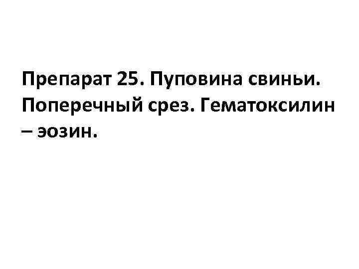 Препарат 25. Пуповина свиньи. Поперечный срез. Гематоксилин – эозин. 