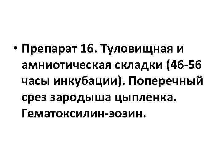 • Препарат 16. Туловищная и амниотическая складки (46 -56 часы инкубации). Поперечный срез