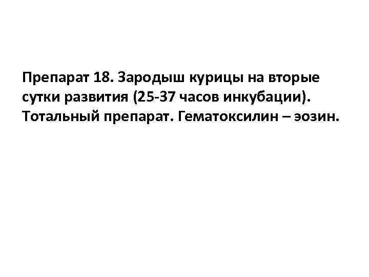 Препарат 18. Зародыш курицы на вторые сутки развития (25 -37 часов инкубации). Тотальный препарат.