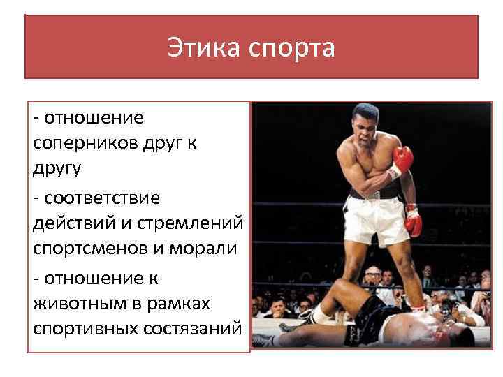 Спорт основное