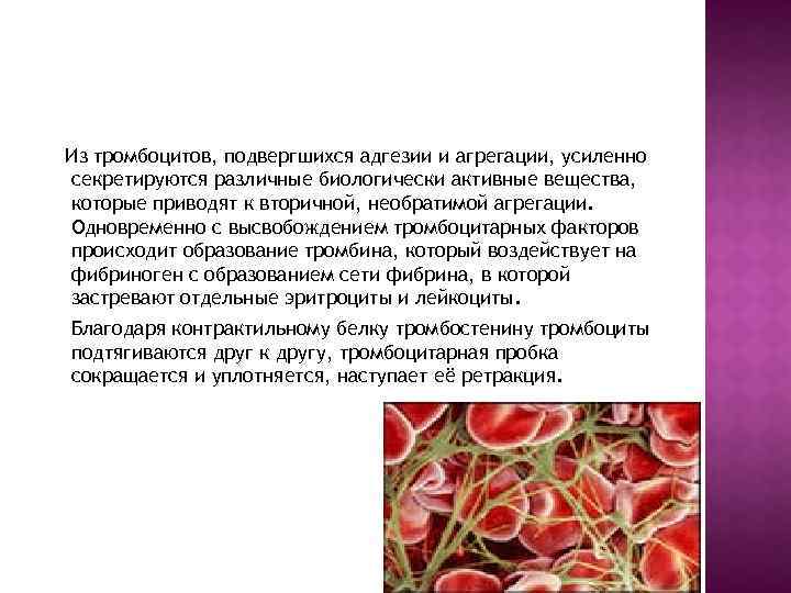 Из тромбоцитов, подвергшихся адгезии и агрегации, усиленно секретируются различные биологически активные вещества, которые приводят