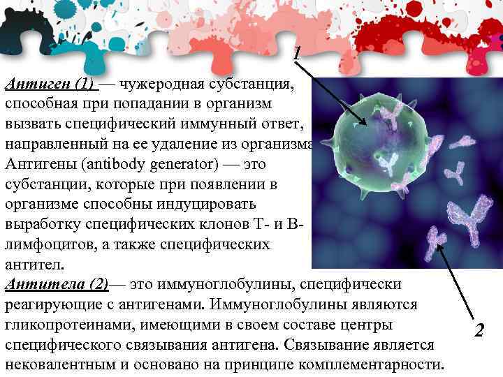 1 Антиген (1) — чужеродная субстанция, способная при попадании в организм вызвать специфический иммунный