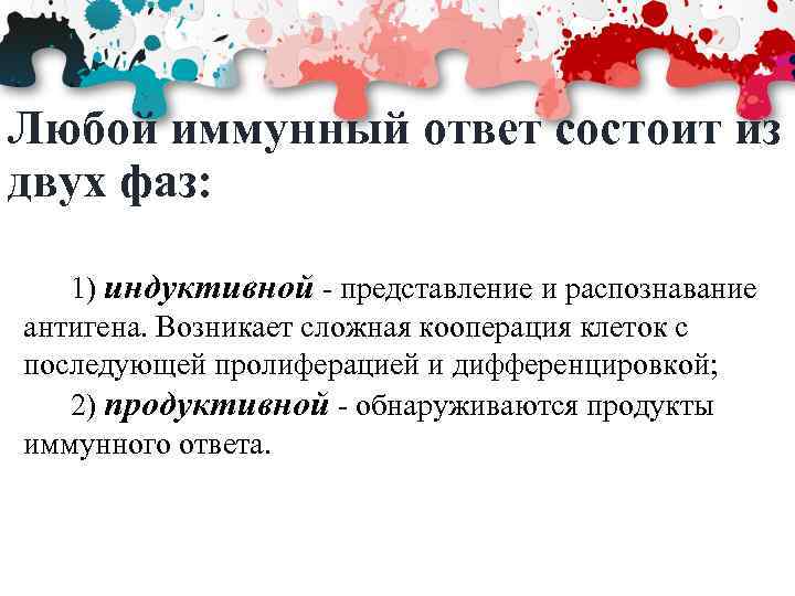 Любой иммунный ответ состоит из двух фаз: 1) индуктивной - представление и распознавание антигена.