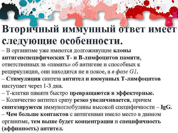 Вторичный иммунный ответ имеет следующие особенности. – В организме уже имеются долгоживущие клоны антигенспецифических