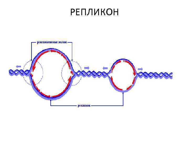 РЕПЛИКОН 