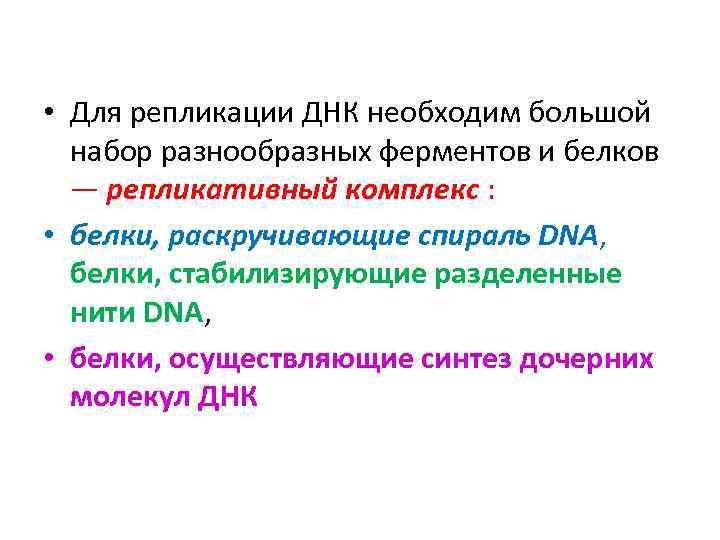  • Для репликации ДНК необходим большой набор разнообразных ферментов и белков — репликативный