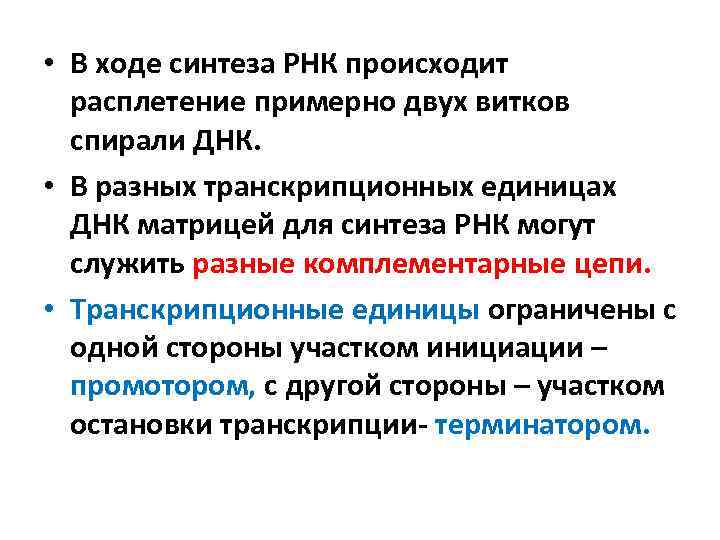  • В ходе синтеза РНК происходит расплетение примерно двух витков спирали ДНК. •