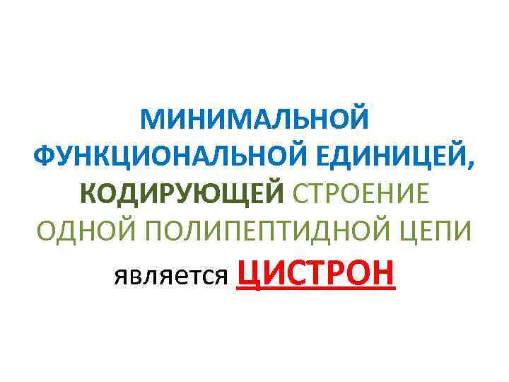 Что является минимальной единицей векторного изображения