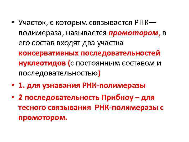  • Участок, с которым связывается РНК— полимераза, называется промотором, в его состав входят