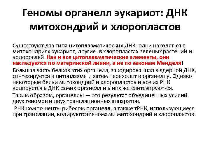 Геномы органелл эукариот: ДНК митохондрий и хлоропластов Существуют два типа цитоплазматических ДНК: одни находят