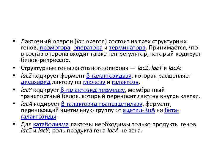  • Лактозный оперон (lac operon) состоит из трех структурных генов, промотора, оператора и