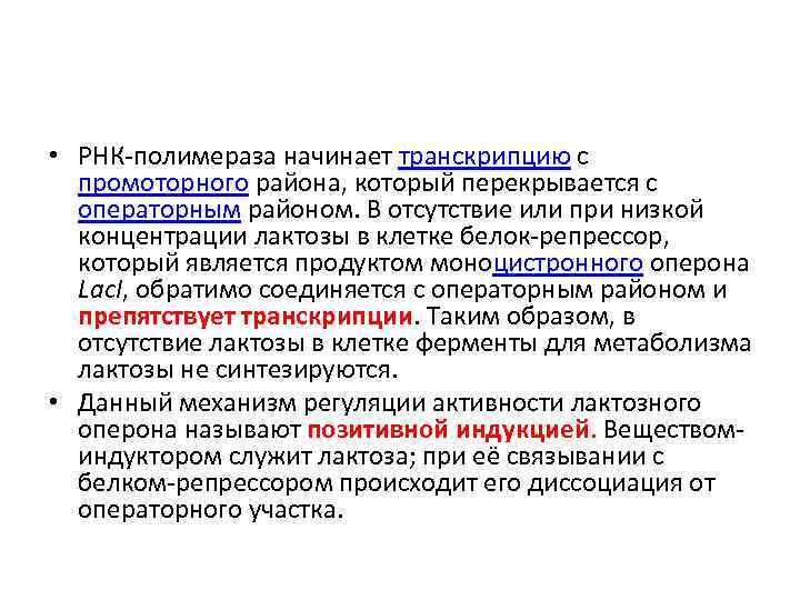  • РНК полимераза начинает транскрипцию с промоторного района, который перекрывается с операторным районом.