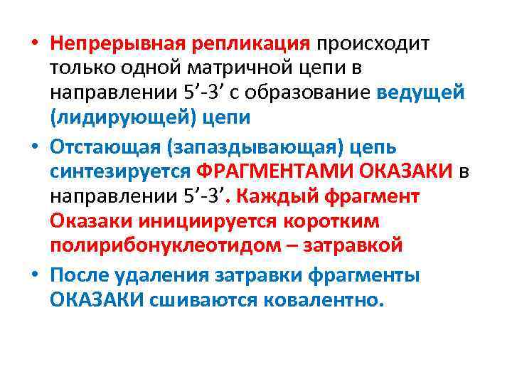  • Непрерывная репликация происходит только одной матричной цепи в направлении 5’ 3’ с