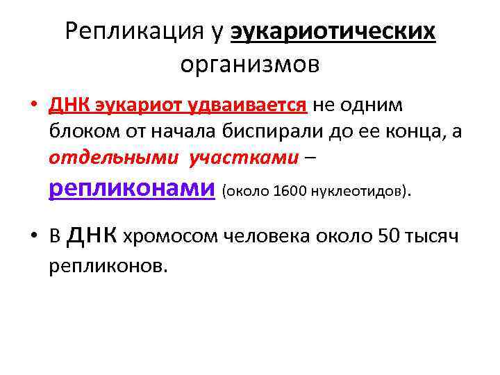 Репликация у эукариотических организмов • ДНК эукариот удваивается не одним блоком от начала биспирали