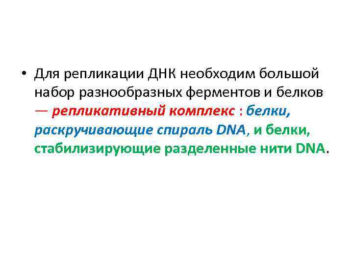  • Для репликации ДНК необходим большой набор разнообразных ферментов и белков — репликативный