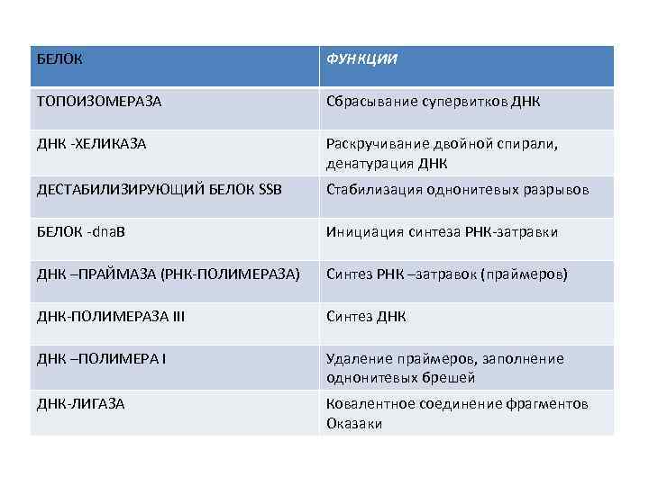 Функции белков днк