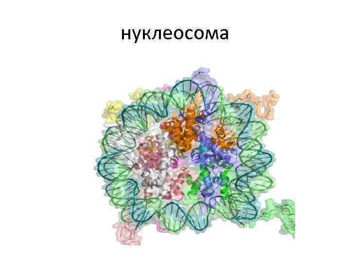 Молекулярная биология картинки