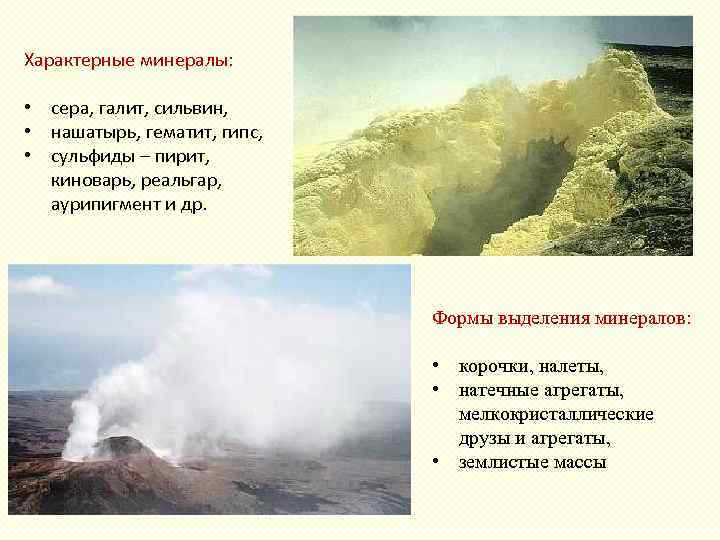 Характерные минералы: • сера, галит, сильвин, • нашатырь, гематит, гипс, • сульфиды – пирит,