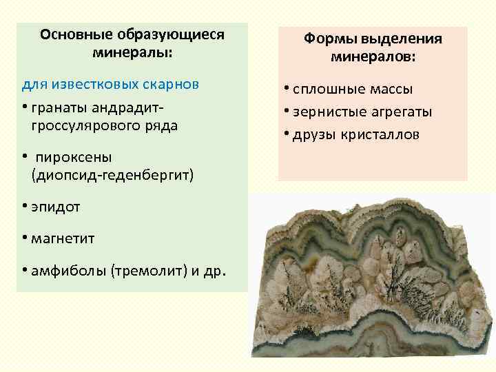 Основные образующиеся минералы: для известковых скарнов • гранаты андрадит гроссулярового ряда • пироксены (диопсид