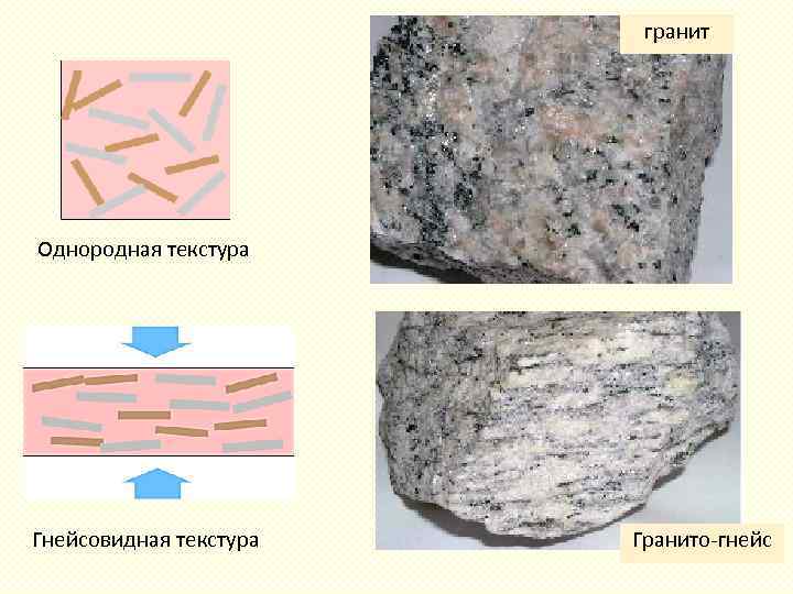 гранит Однородная текстура Гнейсовидная текстура Гранито гнейс 