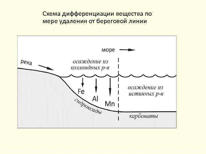 Схема дифференциации вещества по мере удаления от береговой линии 