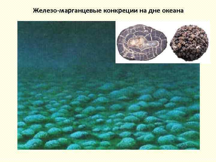 Железо-марганцевые конкреции на дне океана 