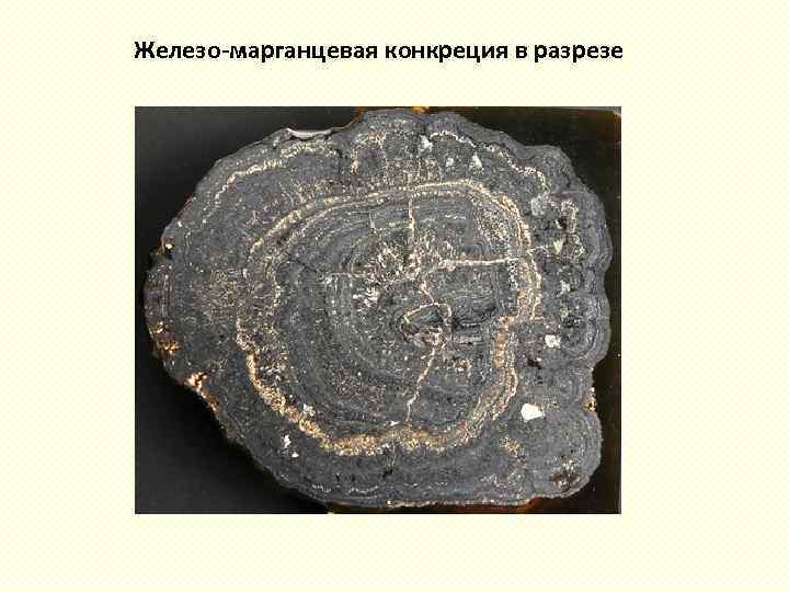 Железо-марганцевая конкреция в разрезе 