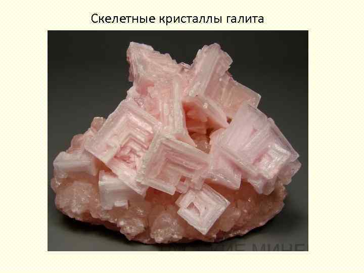 Скелетные кристаллы галита 