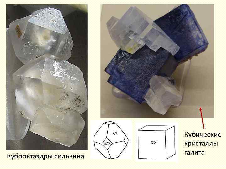 Кубооктаэдры сильвина Кубические кристаллы галита 