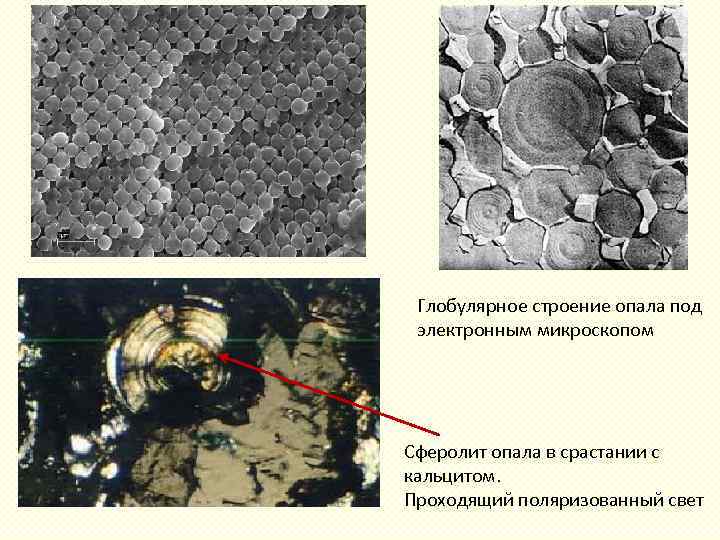 Глобулярное строение опала под электронным микроскопом Сферолит опала в срастании с кальцитом. Проходящий поляризованный