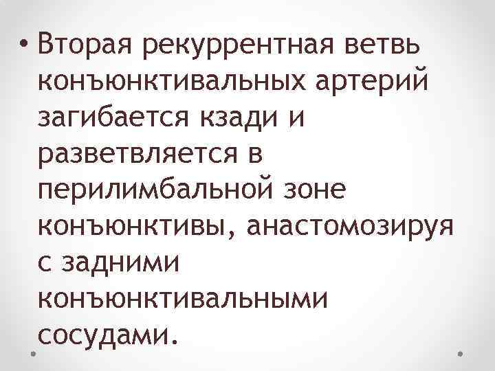  • Вторая рекуррентная ветвь конъюнктивальных артерий загибается кзади и разветвляется в перилимбальной зоне