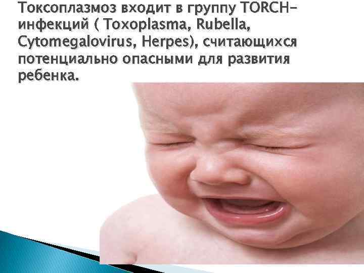 Токсоплазмоз входит в группу TORCHинфекций ( Toxoplasma, Rubella, Cytomegalovirus, Herpes), считающихся потенциально опасными для