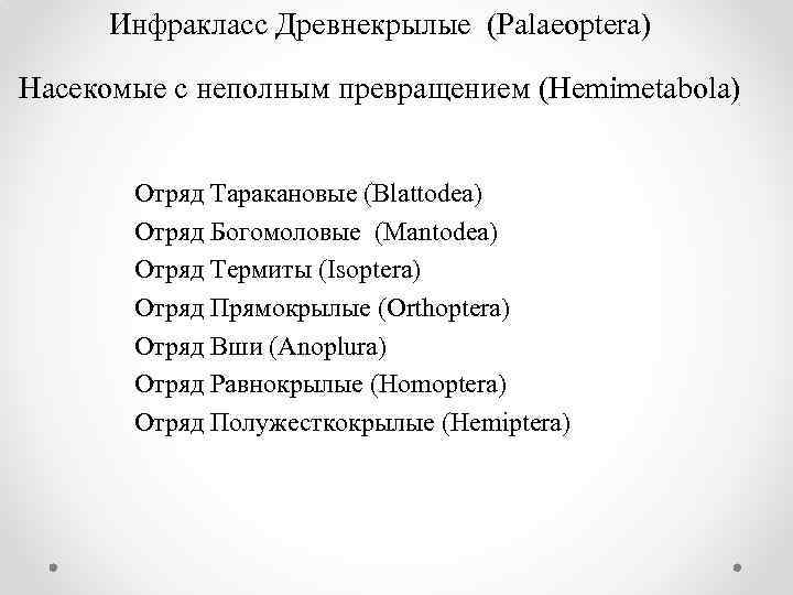 Инфракласс Древнекрылые (Palaeoptera) Насекомые с неполным превращением (Hemimetabola) Отряд Таракановые (Blattodea) Отряд Богомоловые (Mantodea)