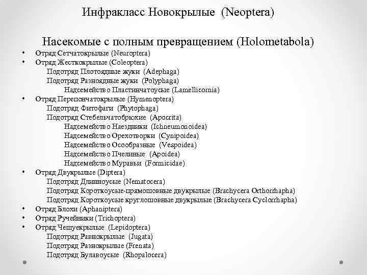 Инфракласс Новокрылые (Neoptera) Насекомые с полным превращением (Holometabola) • • Отряд Сетчатокрылые (Neuroptera) Отряд