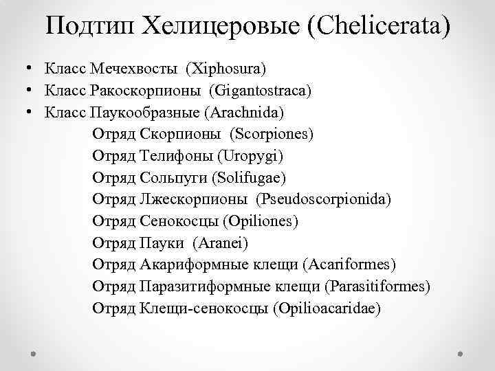 Подтип Хелицеровые (Chelicerata) • Класс Мечехвосты (Xiphosura) • Класс Ракоскорпионы (Gigantostraca) • Класс Паукообразные