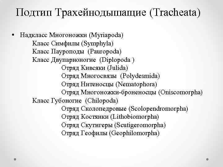 Подтип Трахейнодышащие (Tracheata) • Надкласс Многоножки (Myriapoda) Класс Симфилы (Symphyla) Класс Пауроподы (Pauropoda) Класс